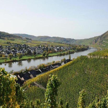 Sch Ne Wohnung In Der Moselregion Kinheim Dış mekan fotoğraf