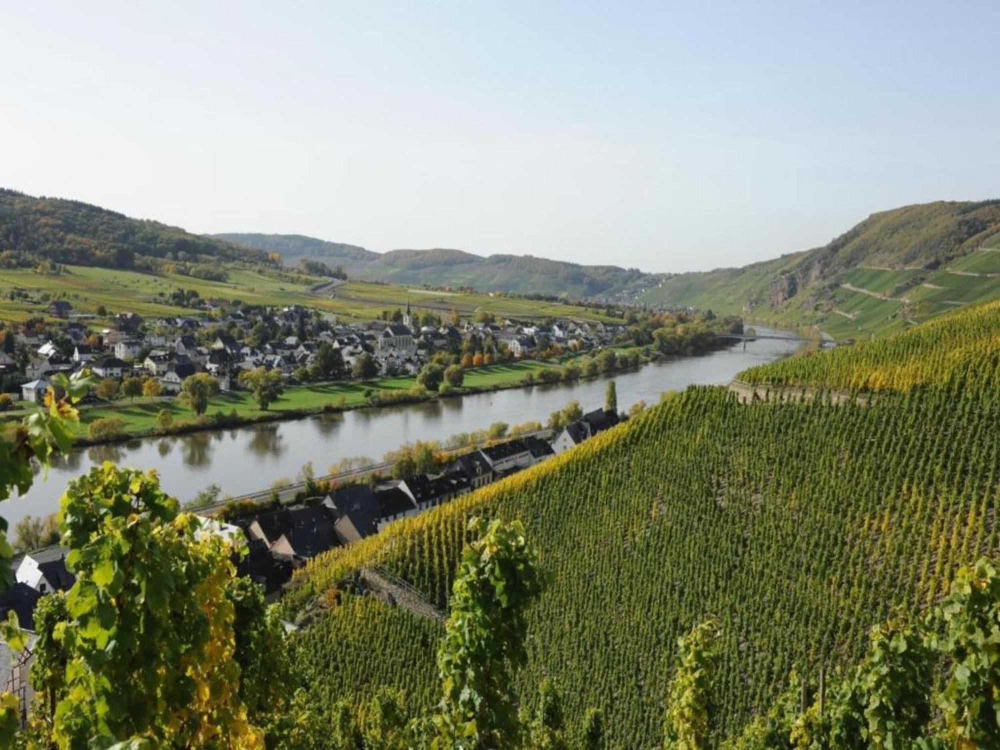Sch Ne Wohnung In Der Moselregion Kinheim Dış mekan fotoğraf