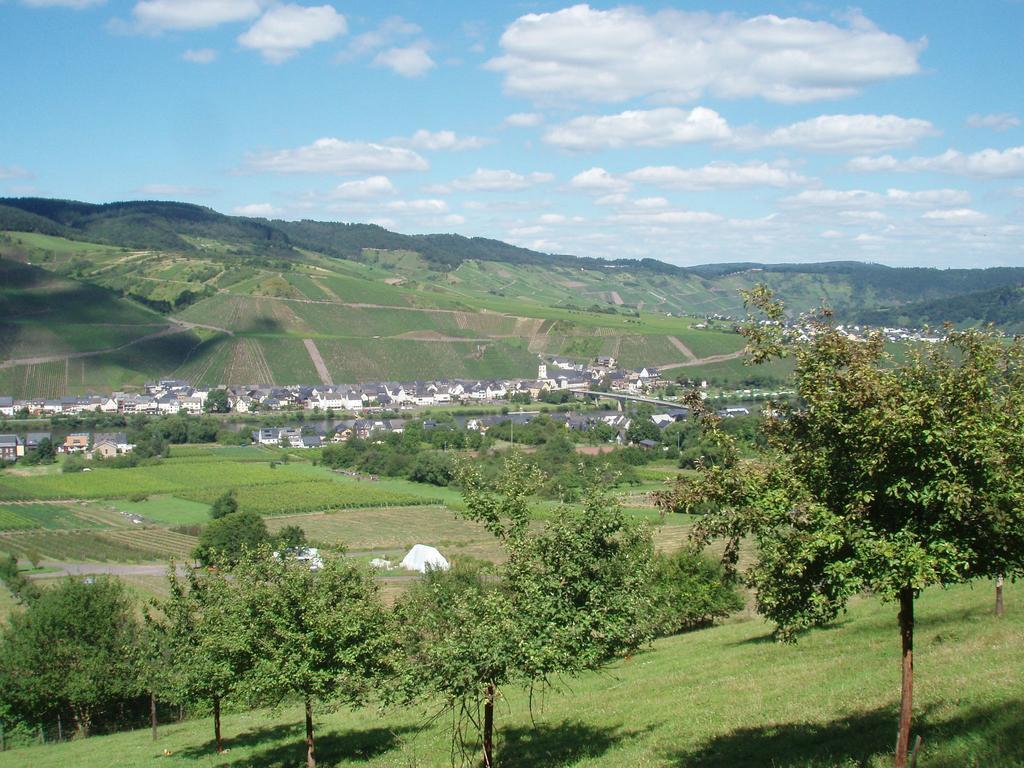 Sch Ne Wohnung In Der Moselregion Kinheim Dış mekan fotoğraf