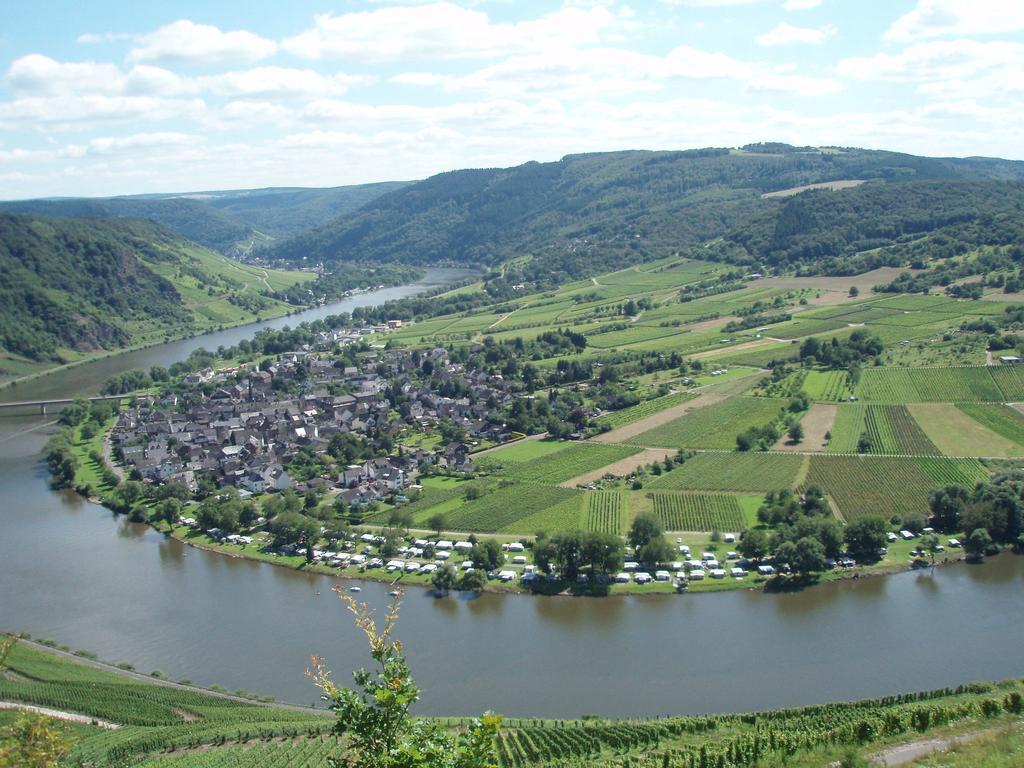 Sch Ne Wohnung In Der Moselregion Kinheim Dış mekan fotoğraf